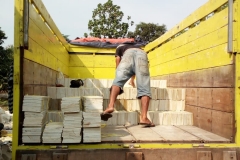 Pengiriman batu palm